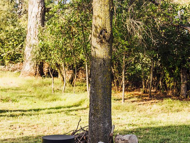 Photo 31 for Meadowbrook Tiny House - stay amongst the best of Orange wineries and nature