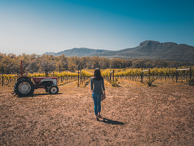 Photo 1 for Wine tasting in Broke