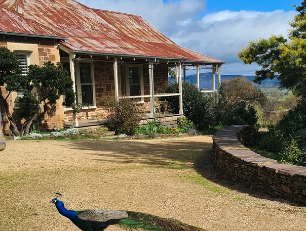 Photo 36 for Glenroy Homestead