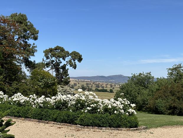 Photo 30 for Glenroy Homestead