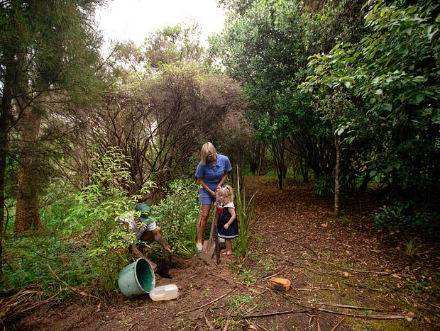 Photo 4 for Plant a Tree