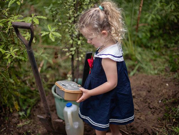 Photo 6 for Plant a Tree