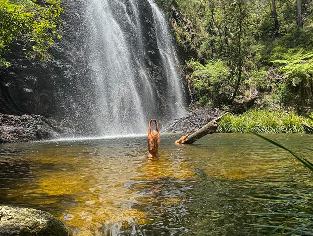 Photo 2 for Boundary Falls