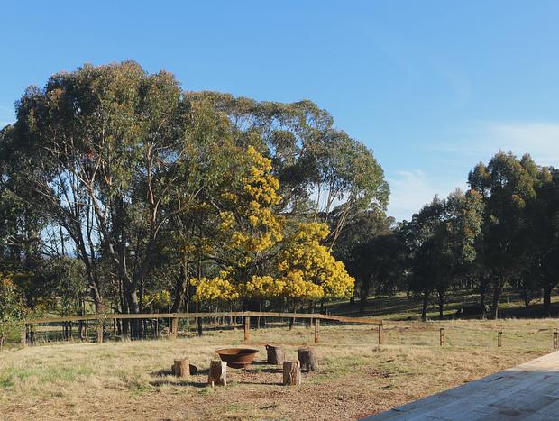 Photo 14 for Southern Highlands Vineyard Cabin by Outpost