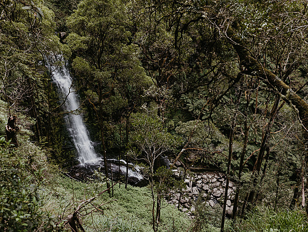 Photo 6 for undefined