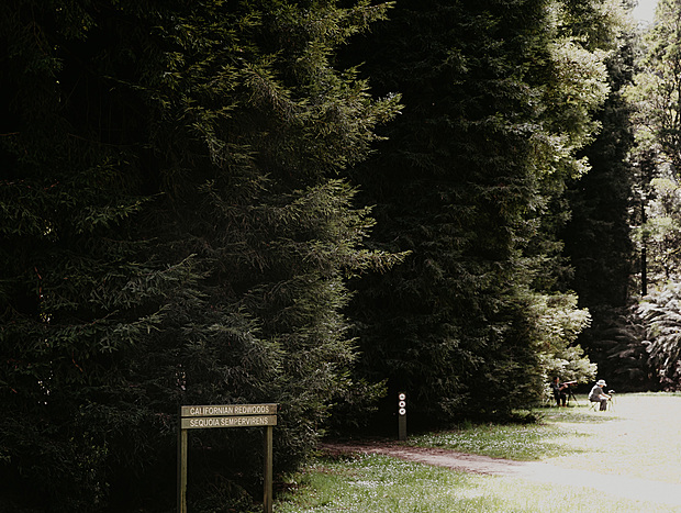 Photo 2 for undefined