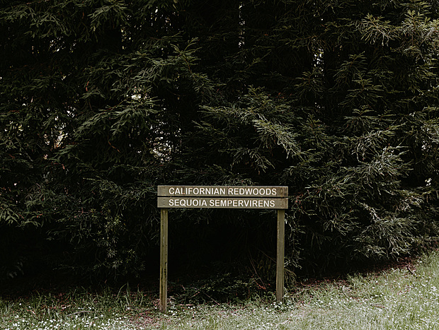 Photo 4 for undefined