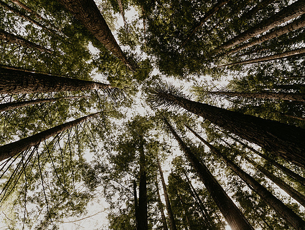 Photo 6 for undefined
