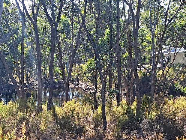 Photo 4 for Green Bush Haven
