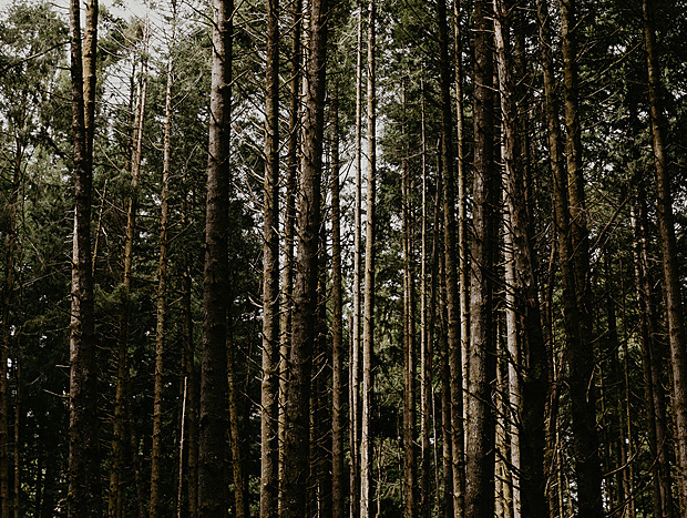 Photo 12 for undefined