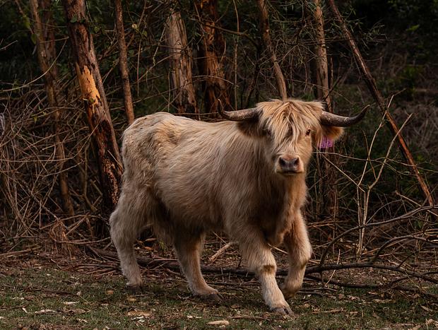 Photo 7 for Feed & Make Friends with the Animals