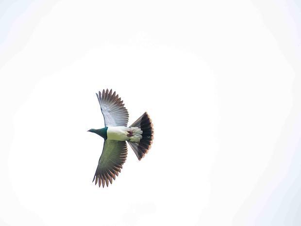Photo 1 for Birdwatching from your doorstep