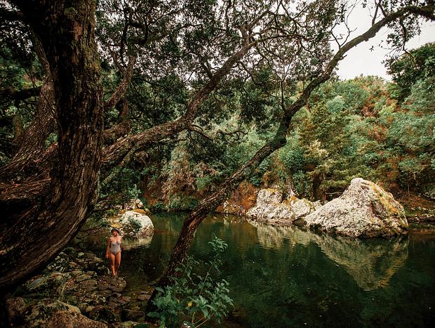 Photo 3 for Walk to the Swimming hole