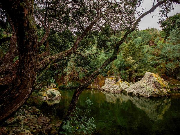 Photo 6 for Walk to the Swimming hole