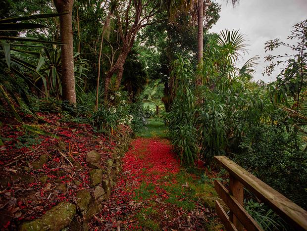 Photo 2 for Discover the property and gardens