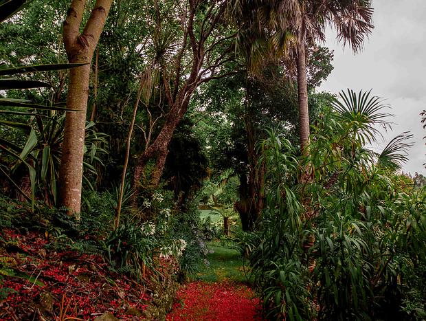 Photo 5 for Discover the property and gardens