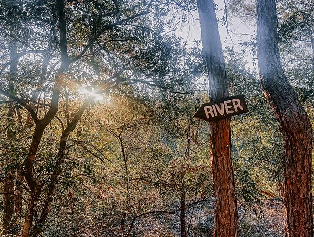 Photo 1 for Bush Walk & River Swim