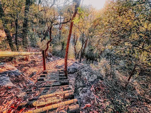 Photo 4 for Bush Walk & River Swim