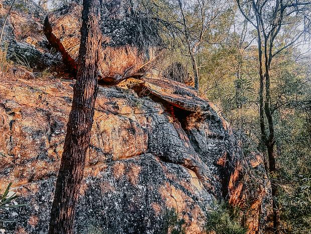 Photo 11 for Bush Walk & River Swim