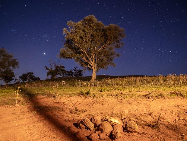 Photo 4 for Outback Star Gazing