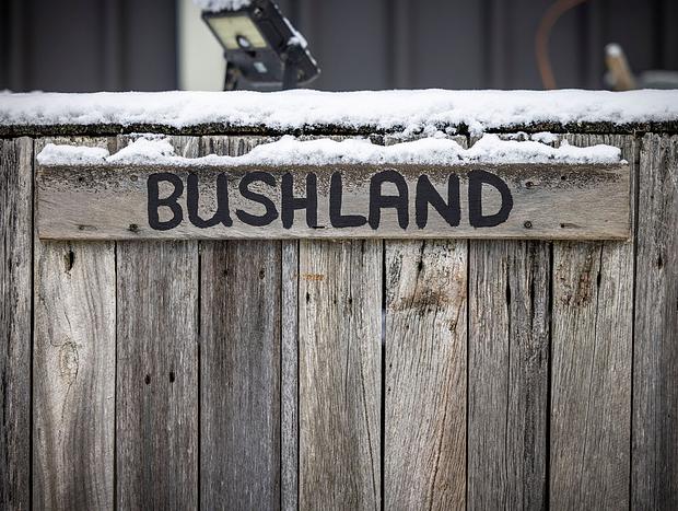 Photo 41 for Big Yard Escapes – Off-grid Tiny House, Bushland