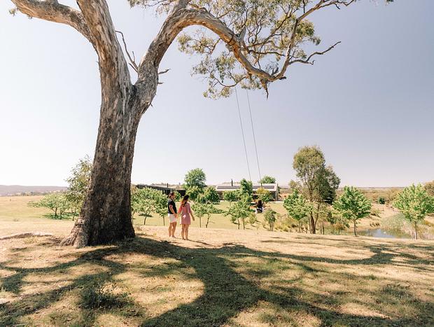 Photo 1 for Swing by at a giant gumtree