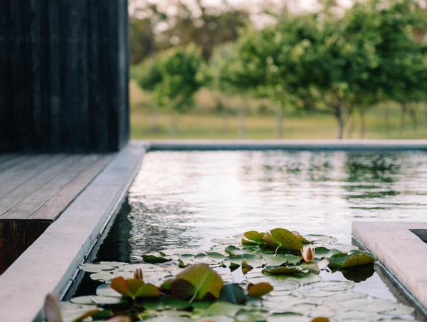 Photo 7 for Natural Pool Experience