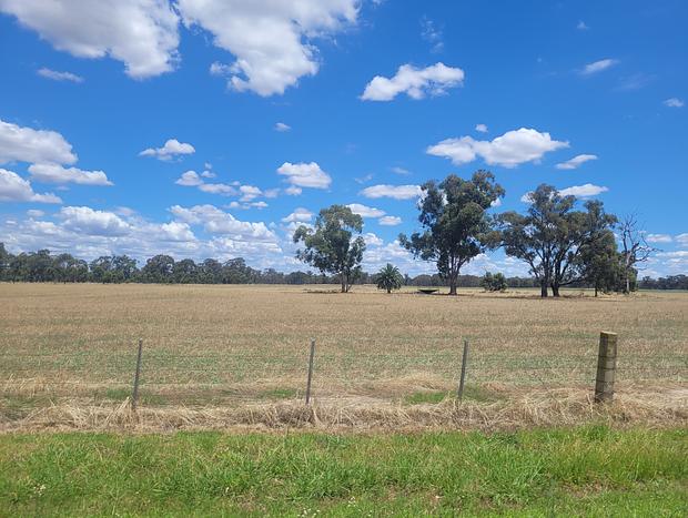 Photo 36 for The Vines - Wyuna: Luxury Church Retreat nr Echuca