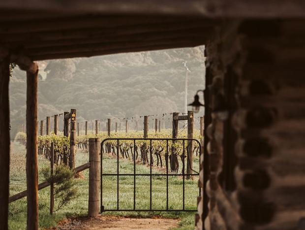 Photo 57 for Luxury vineyard log cabin in Yarra Valley foothills