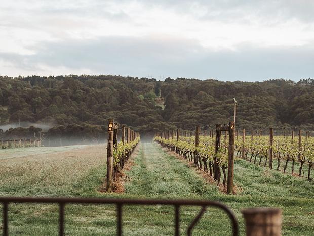 Photo 61 for Luxury vineyard log cabin in Yarra Valley foothills