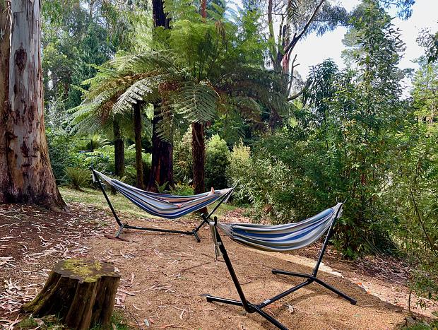 Photo 21 for Timber Top Lodge - unwind in a forest retreat