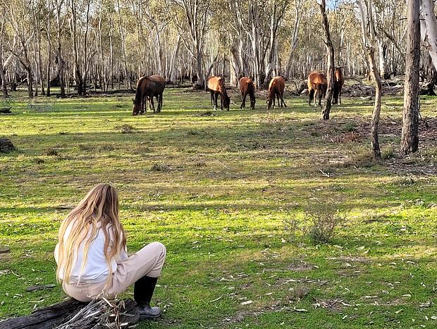 Photo 34 for The Vines - Wyuna: Luxury Church Retreat nr Echuca