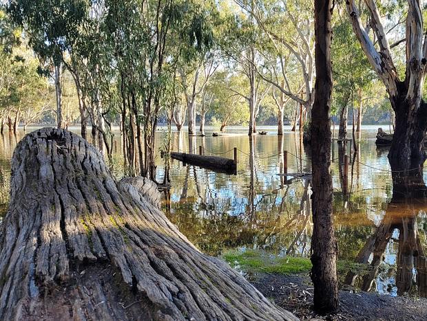 Photo 35 for The Vines - Wyuna: Luxury Church Retreat nr Echuca