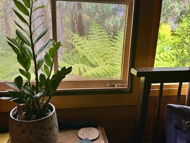 Photo 15 for Timber Top Lodge - unwind in a forest retreat