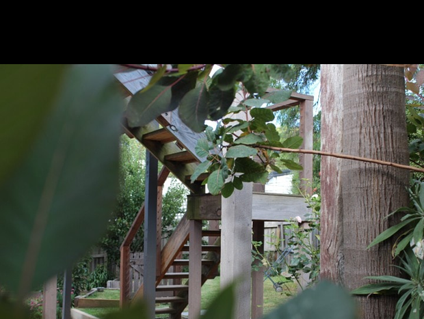 Photo 19 for Tree House Jan Juc