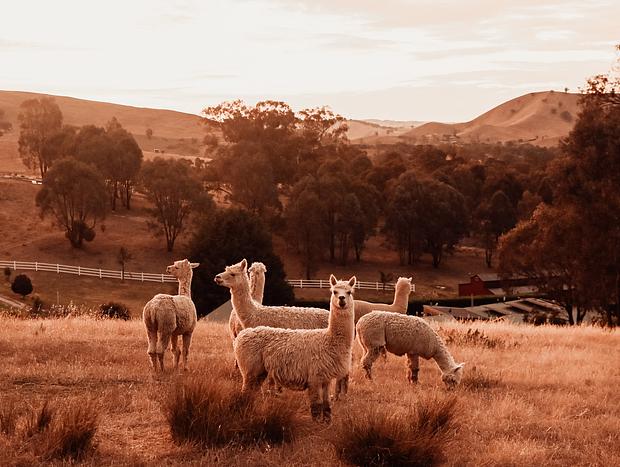 Photo 16 for How's the Serenity at Daisy Hill