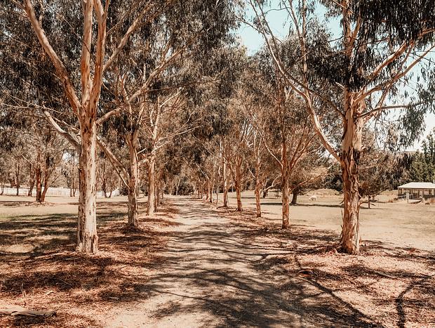 Photo 14 for How's the Serenity at Daisy Hill