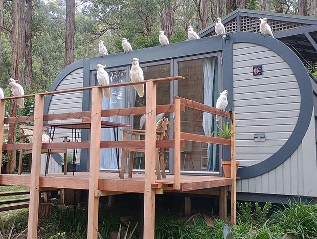 Photo 4 for Timber Cabin #1 in Selby