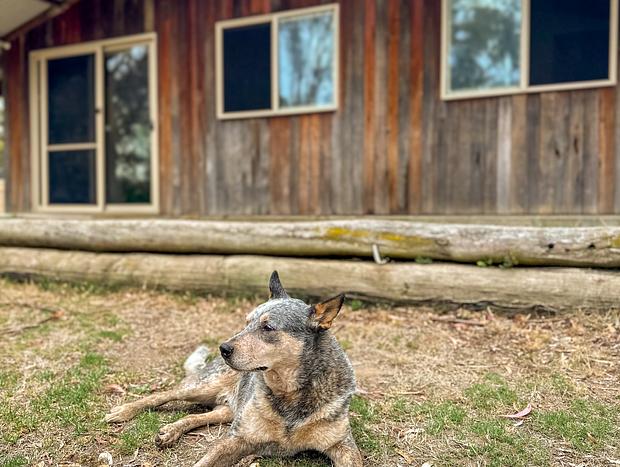 Photo 25 for Spring Creek Love Shack