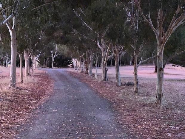 Photo 20 for Daisy Hill Lodge Bonnie Doon - The Boat House