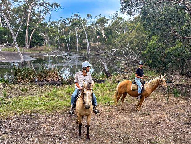 Photo 5 for Spring Creek Trail Rides