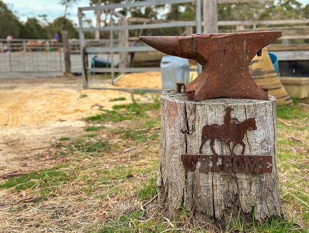 Photo 9 for Spring Creek Trail Rides