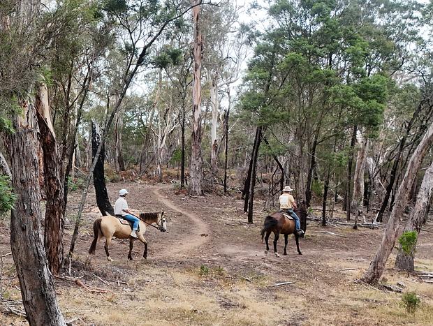 Photo 12 for Spring Creek Trail Rides