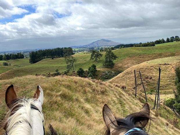 Photo 23 for Pirongia Escape