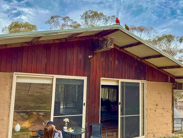 Photo 26 for Spring Creek Love Shack