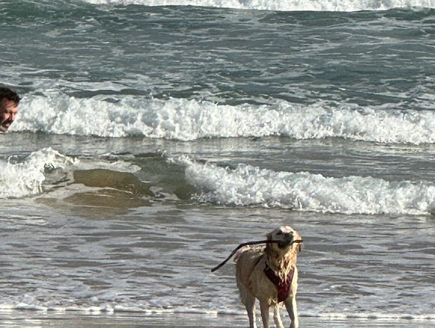 Photo 19 for Moo Views beach escape