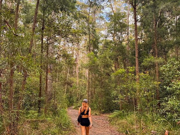 Photo 2 for Goonengerry Lookout
