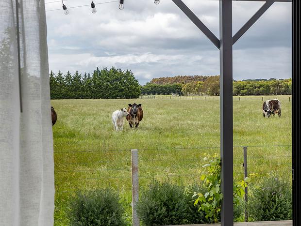 Photo 20 for Blackgate Bungalow – Hot Tub Bliss & Fire Pit Charm on a Torquay Farm