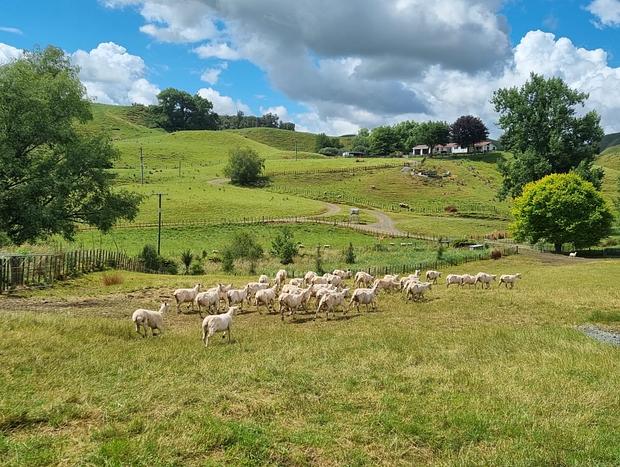 Photo 18 for Corner Peak - A Rural Retreat