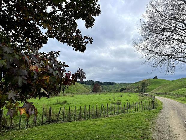 Photo 26 for Corner Peak - A Rural Retreat